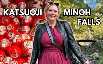 The BEST Day Trip from OSAKA